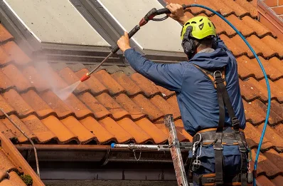 Démoussage et hydrofuge de toiture à Plaine